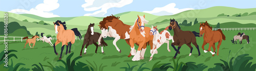thoroughbred horses herd at equine ranch. Stallions group frolicking outdoors at farm. Many domestic animals of different breed at countryside, rural landscape panorama. Flat vector illustration photo