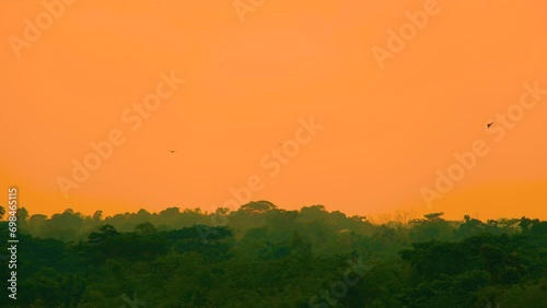 Amazing orange sunset over tropical rainforest, eagle birds soaring high in the sky. wide static shot