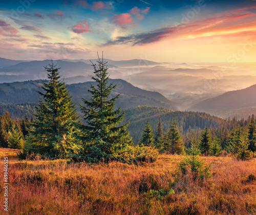 Carpathian mountains at sunrise, Ukraine, Europe. Stunning summer morning in foggy mountains valley. Beauty of countryside concept background.