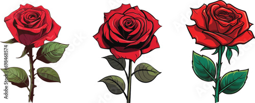 red rose with leaves