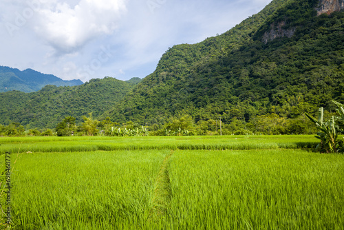 The mountains around the green rice fields in the valley  Asia  Vietnam  Tonkin  towards Hanoi  Mai Chau  in summer  on a sunny day.