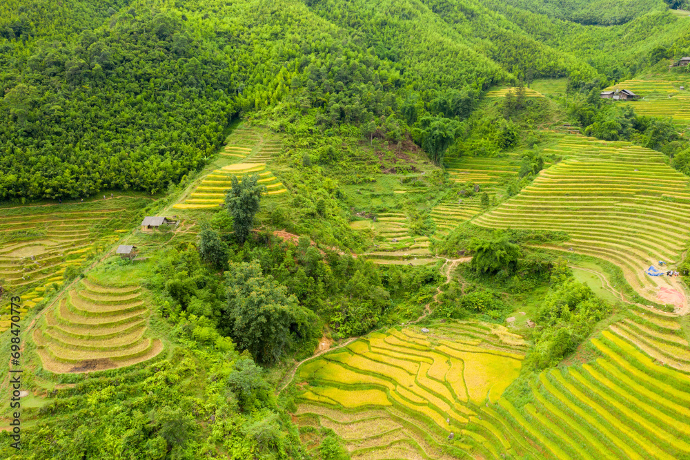 The green and yellow rice terraces on the green tropical mountains, in Asia, Vietnam, Tonkin, Sapa, towards Lao Cai, in summer, on a cloudy day.