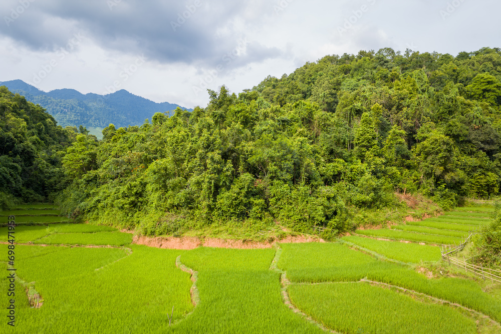 The mountains around the green rice fields in the valley, Asia, Vietnam, Tonkin, towards Hanoi, Mai Chau, in summer, on a sunny day.