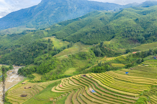 The green and yellow rice terraces on the green tropical mountains, in Asia, Vietnam, Tonkin, Sapa, towards Lao Cai, in summer, on a cloudy day. photo