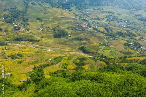 The green and yellow rice fields in the mountains in the verdant valley, Asia, Vietnam, Tonkin, Sapa, towards Lao Cai, in summer, on a cloudy day.
