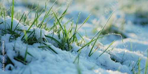 Spring Grass Covered With Snow For Wallpaper Created Using Artificial Intelligence © Damianius