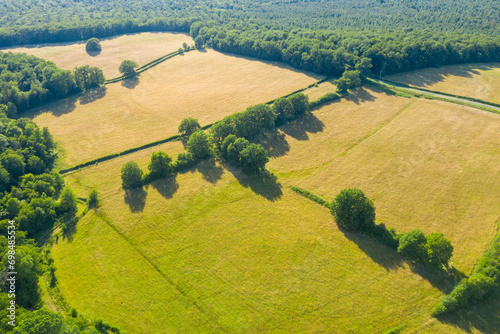 The green countryside with forests and fields in Europe, France, Burgundy, Nievre, towards Chateau Chinon, in summer, on a sunny day.