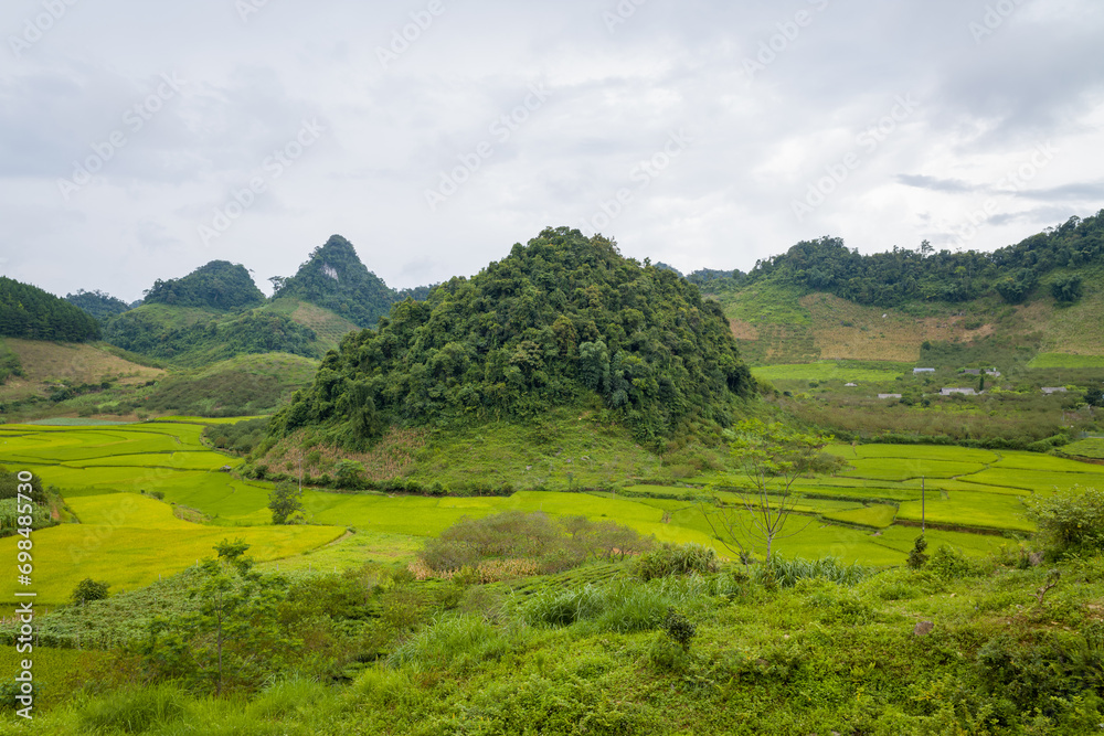 The rice fields and green mountains in the valley, Asia, Vietnam, Tonkin, between Mai Chau and Moc Chau, in summer, on a cloudy day.