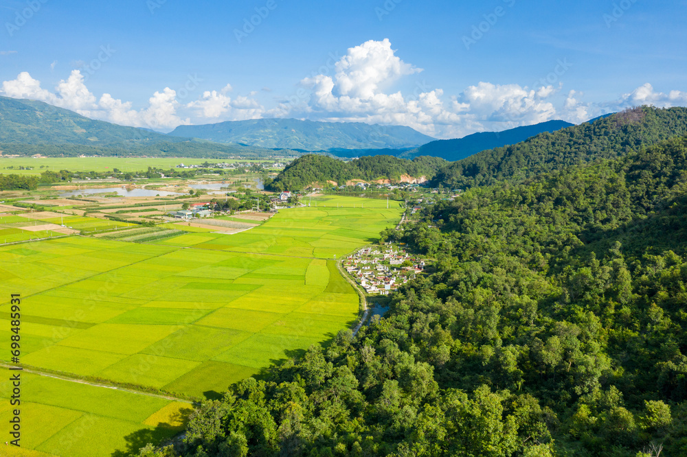 The traditional villages in the middle of the green and yellow rice fields in the valley, Asia, Vietnam, Tonkin, Dien Bien Phu, in summer, on a sunny day.