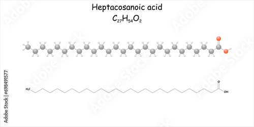 Heptacosanoic acid. Stylized molecule model and structural formula. 