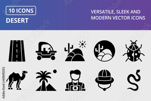 Desert Glyph Icons Set