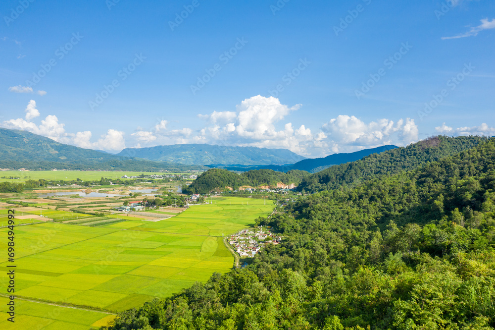 The traditional villages in the middle of the green and yellow rice fields in the valley, Asia, Vietnam, Tonkin, Dien Bien Phu, in summer, on a sunny day.
