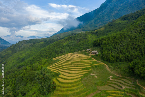 The green and yellow rice terraces at the foot of the green mountains, in Asia, Vietnam, Tonkin, Sapa, towards Lao Cai, in summer, on a sunny day. photo