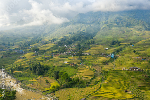 The traditional village with green and yellow rice fields in the green mountains, Asia, Vietnam, Tonkin, Sapa, towards Lao Cai, in summer, on a cloudy day. © Florent