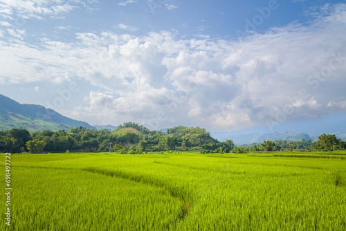 The green rice fields in the verdant countryside, Asia, Vietnam, Tonkin, Na San, in summer on a sunny day.