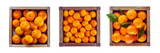  Collection Set of Wooden box full of oranges, top view, isolated over on transparent white background