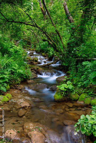 A Creek and small waterfall in the capathian at Hunedoara in Romania © hecke71