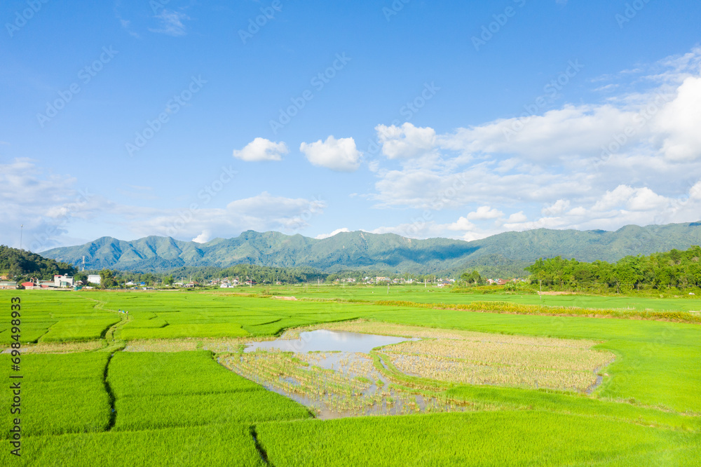 The green rice fields in the middle of the green countryside and mountains, in Asia, Vietnam, Tonkin, Dien Bien Phu, in summer, on a sunny day.