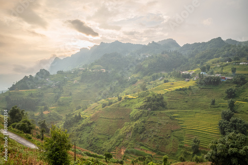 The green and yellow rice fields at the foot of the green mountains, in Asia, in Vietnam, in Tonkin, in Bac Ha, towards Lao Cai, in summer, on a cloudy day. photo