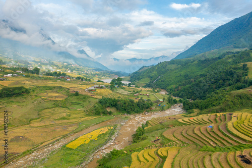 The yellow and green rice terraces above the valley in the green mountains, Asia, Vietnam, Tonkin, Sapa, towards Lao Cai, in summer, on a cloudy day.