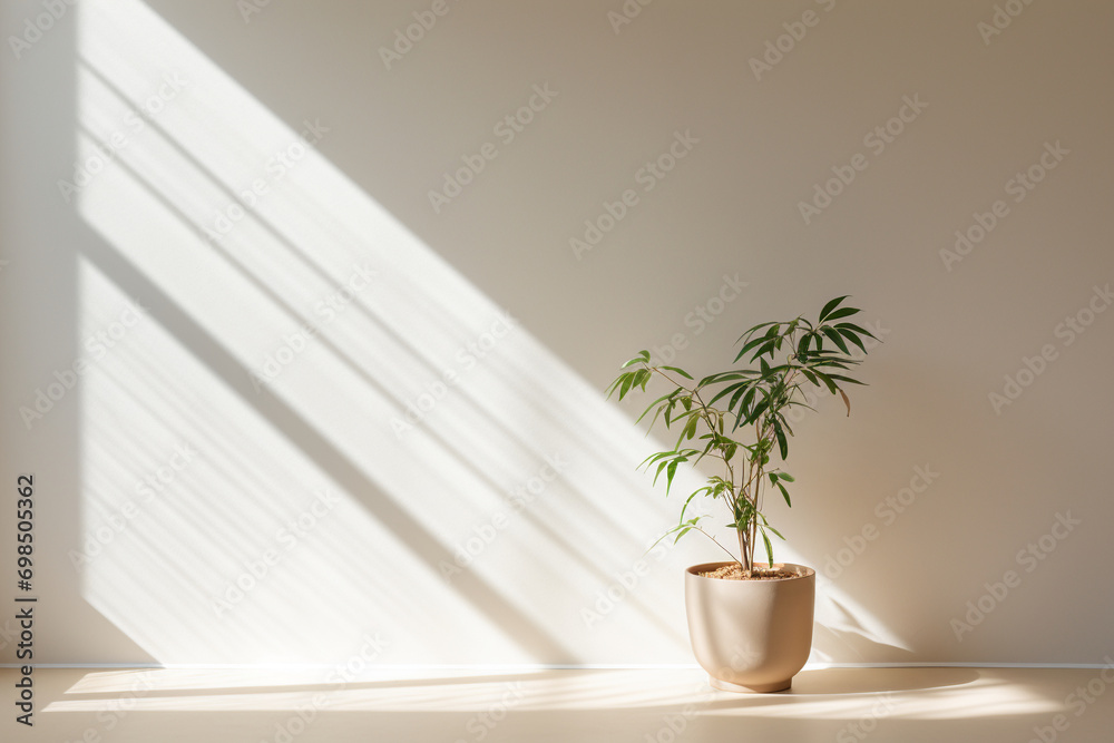 Minimal Blooms: A Flower Amidst a Sleek and Simple Interior Minimal Blooms: A Flower Amidst a Sleek and Simple Interior