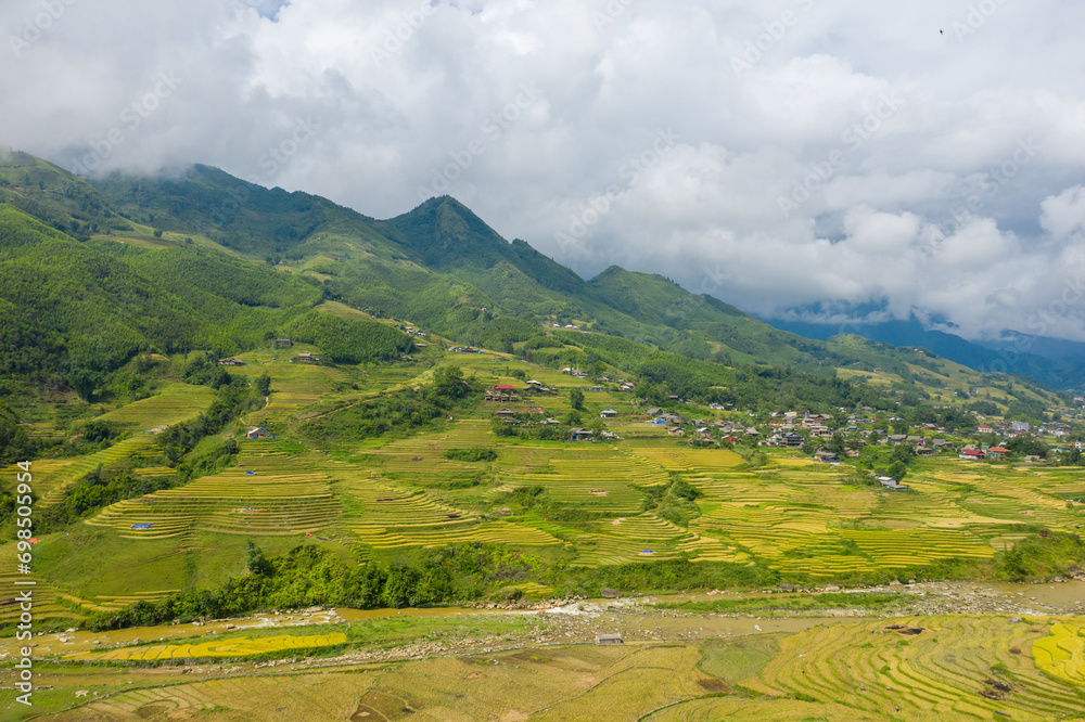 The green and yellow rice terraces on the green tropical mountains, in Asia, Vietnam, Tonkin, Sapa, towards Lao Cai, in summer, on a cloudy day.