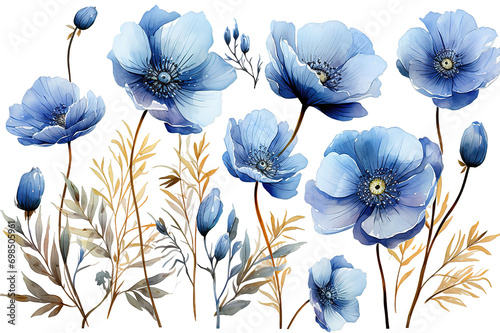 flowers isolated on PNG Background. Generative Ai. © Jahid CF 5327702