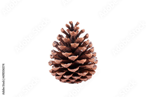 The Pinecone Isolated On Transparent Background