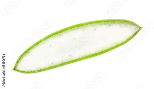 Green aloe vera slice isolated on white
