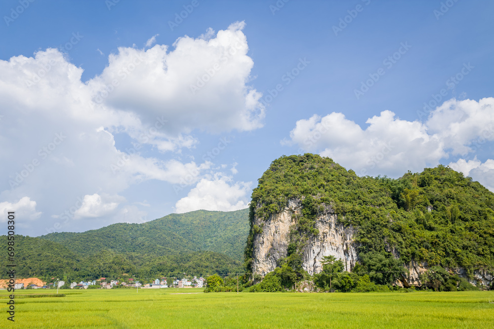 The green rice fields in the middle of forests and karst mountain peaks, in Asia, Vietnam, Tonkin, between Son La and Dien Bien Phu, in summer, on a sunny day.