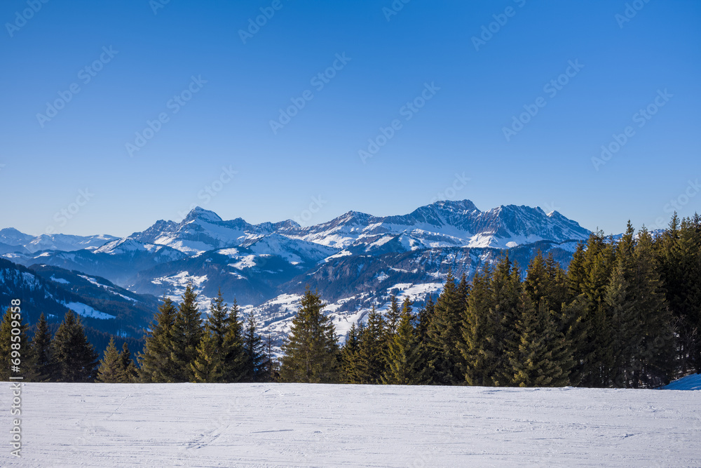 Fir trees in front of Mont Blanc massif in Europe, France, Rhone Alpes, Savoie, Alps, in winter, on a sunny day. Fir trees in front of Mont Blanc massif in Europe, France, Rhone Alpes, Savoie, Alps, in winter, on a sunny day.