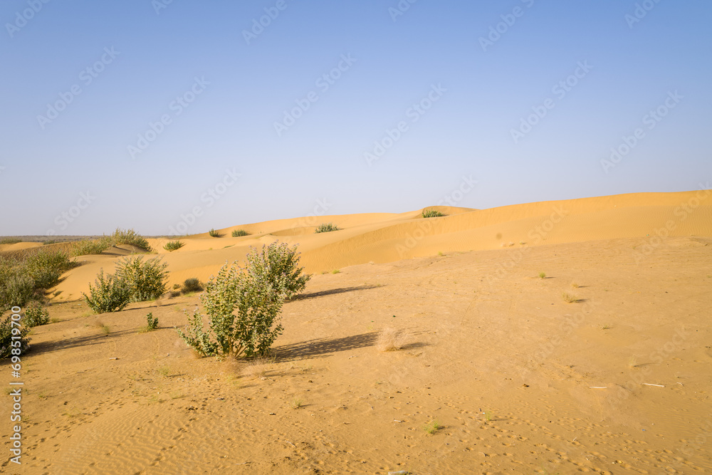 The desert in Asia, India, Rajasthan, Jaisalmer in summer on a sunny day.