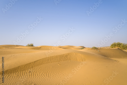 The desert in Asia, India, Rajasthan, Jaisalmer in summer on a sunny day.