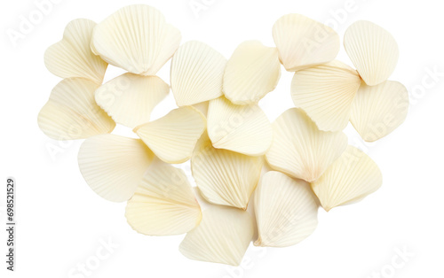 Hearts of Palm Slices On Transparent Background