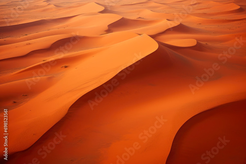 Vast Serenity: Aerial Desert View © Andrii 