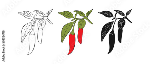 Chili pepper icon logo symbols. Set of red spicy chili peppers or contour or silhouette hand drawn. Spicy and hot. Vector illustration