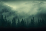 Majestic Forest Embraced by Fog