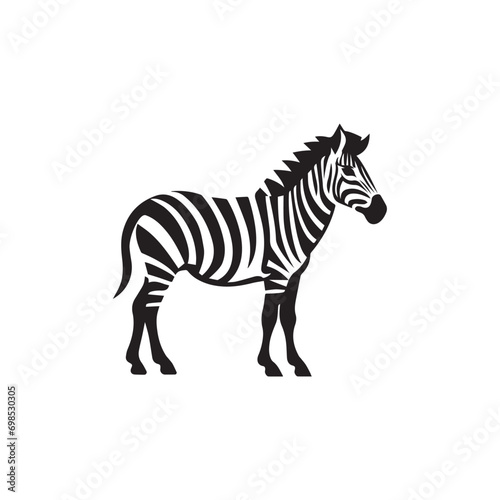 zebra vector illustration