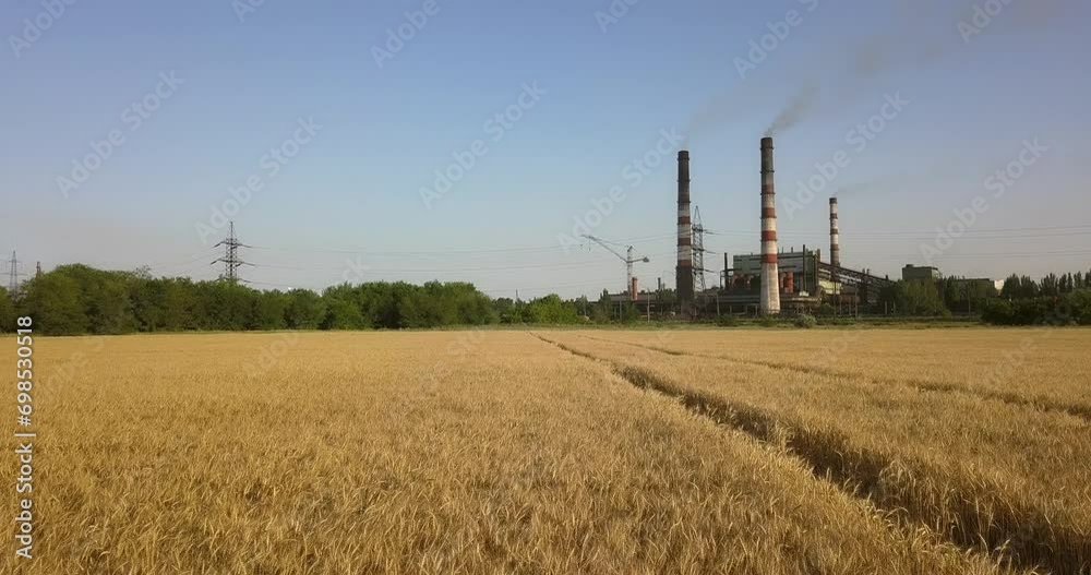 Flying on a drone over a wheat field near a plant that pollutes the environment and smoke from pipes Flying on a drone over a wheat field near a plant that pollutes the environment and smoke from pipes