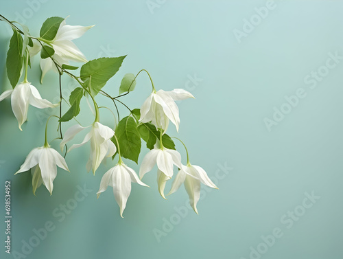 Creeper flower in studio background, single Creeper flower, Beautiful flower, ai generated image photo