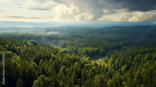 Bird's-eye panoramic shot of a spacious forest landscape from a hill