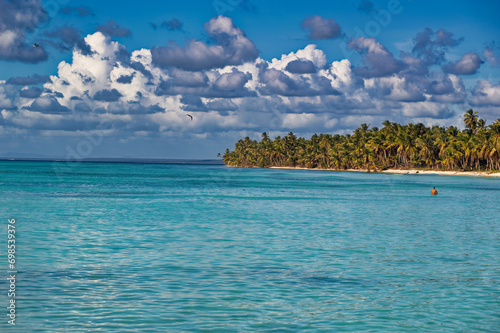 Obraz na płótnie Daily scene of Saona island landscape at Dominican Republic. w salonie