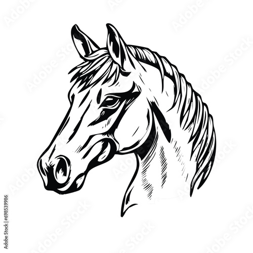 Fototapeta Naklejka Na Ścianę i Meble -  Freedom in Lines Hand-Drawn Horse Silhouettes and Graphic Engravings - Equestrian Illustration Collection for Business and Artistic Designs