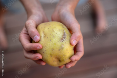 Close-up of a Person Holding Potatoe