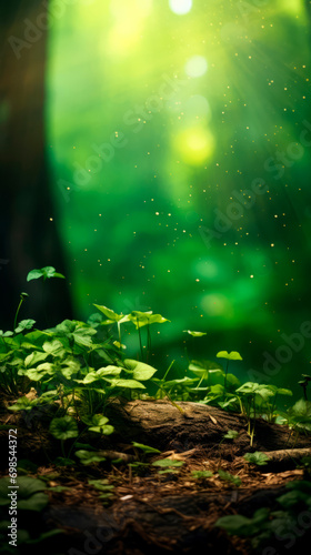 Green leaves on a branch growing in sunlight on a blurred forest background. Caring for the environment. Beauty and tranquility. Relaxation. Background for organic products. Banner. Ecosystem