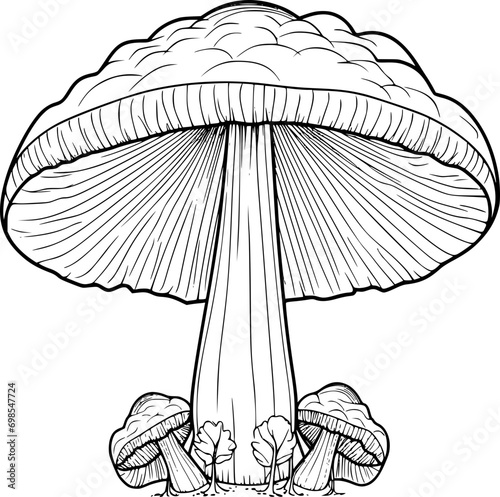 outline illustration of mushroom for coloring page