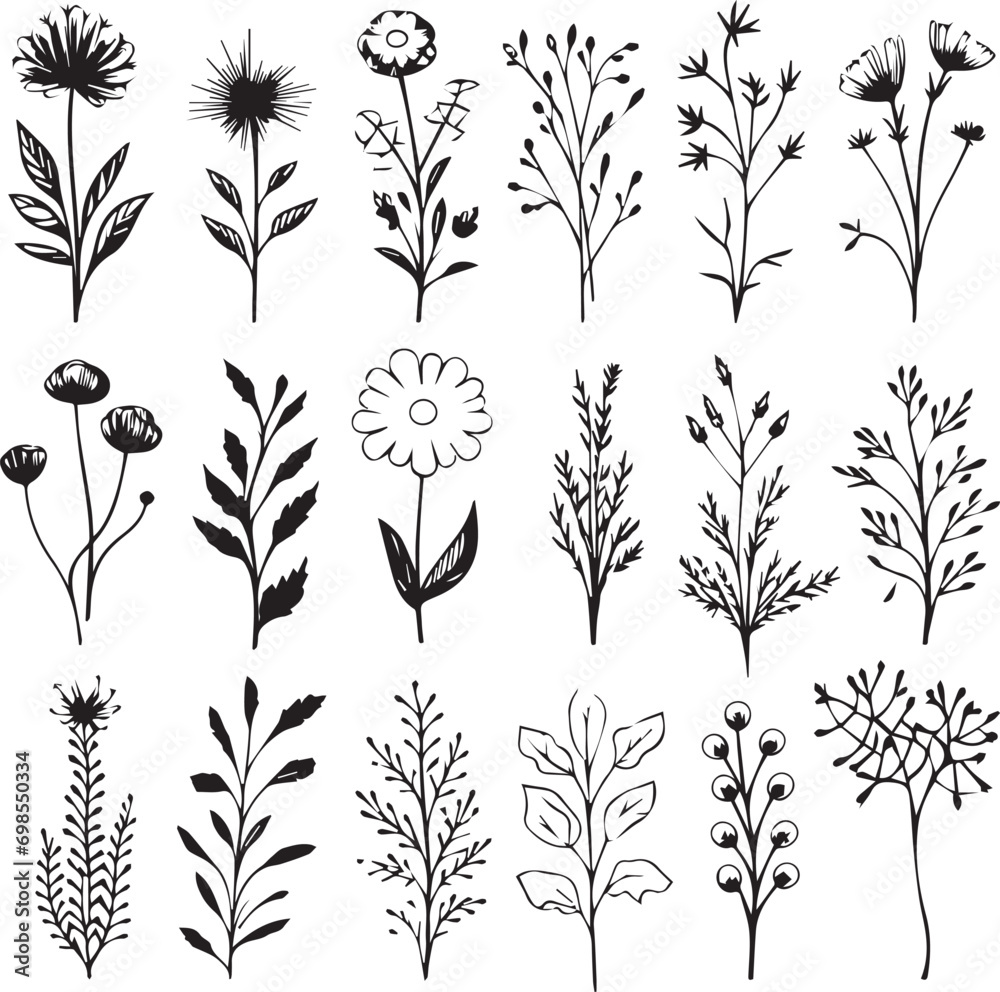 Plant and Flowers Black Silhouette Plant and Flowers Black Silhouette