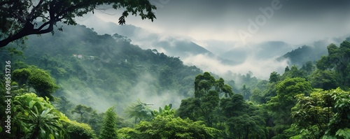 view of tropical forest with fog in the morning during the rainy season	

