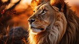 A majestic lion gazes into the distance, its mane catching the golden light of the savannah.