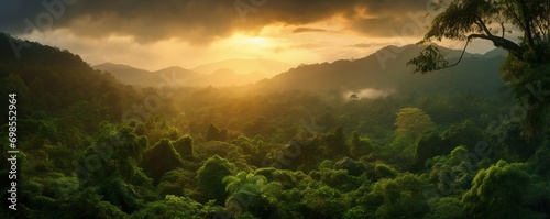 tropical forest with fog in the afternoon during the rainy season © nomesart